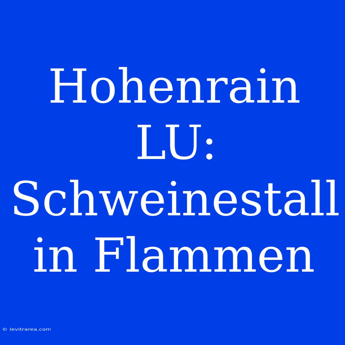 Hohenrain LU: Schweinestall In Flammen