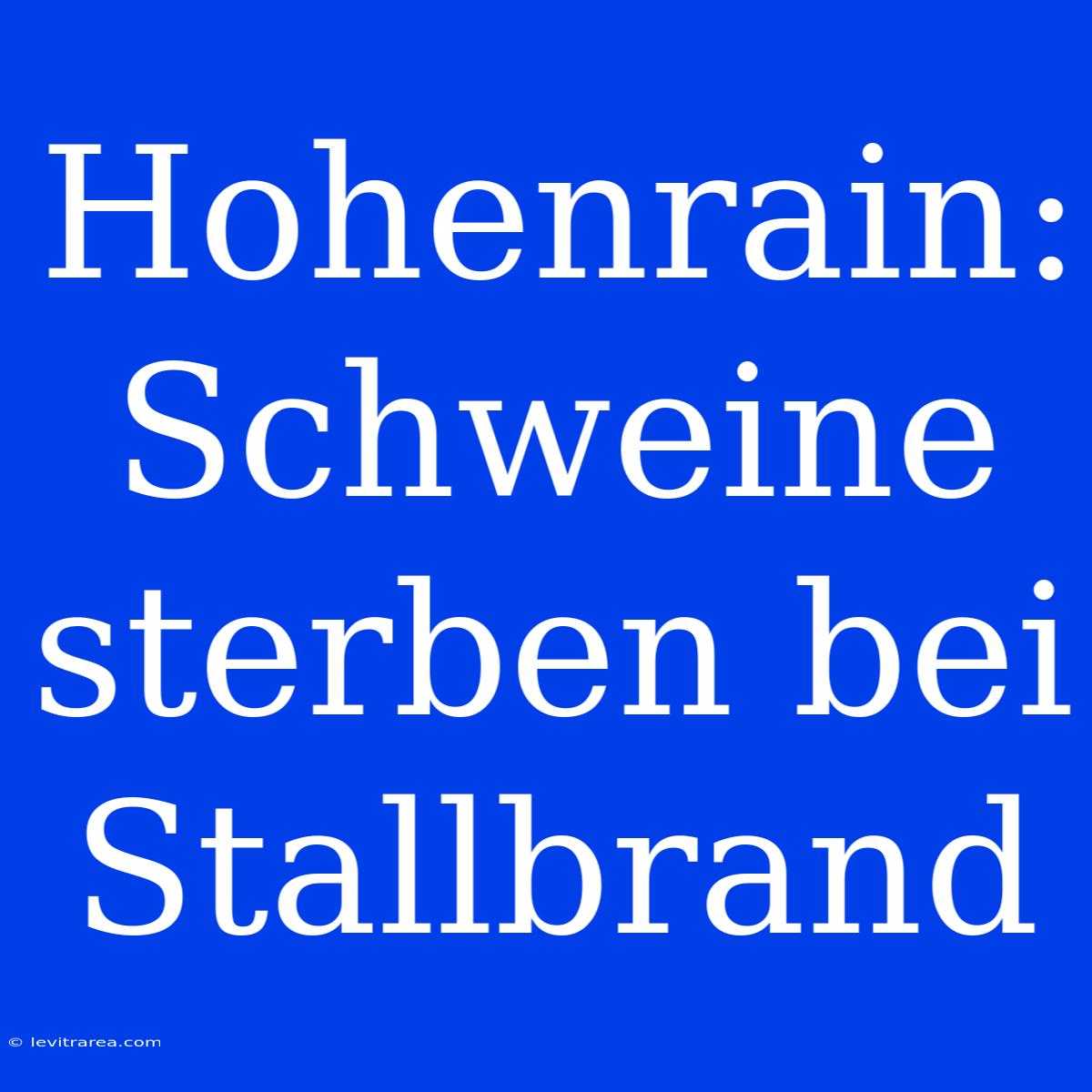 Hohenrain: Schweine Sterben Bei Stallbrand