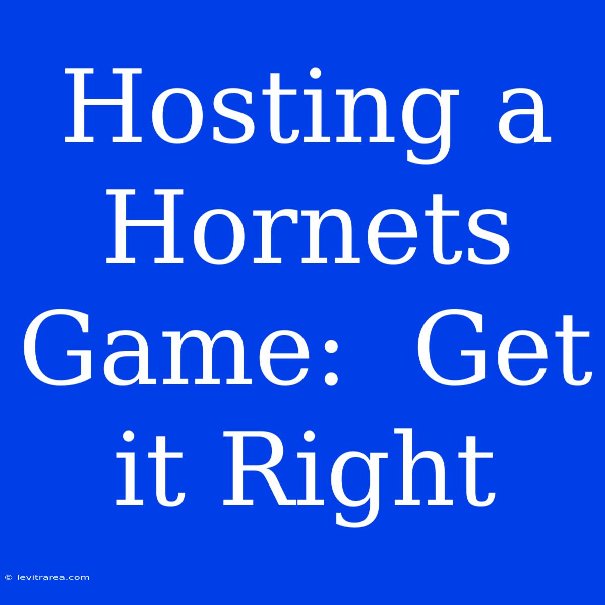 Hosting A Hornets Game:  Get It Right