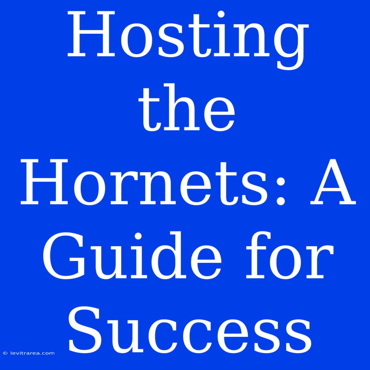 Hosting The Hornets: A Guide For Success