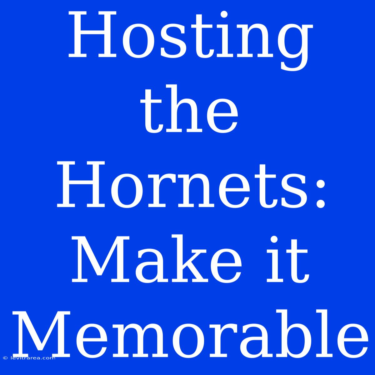 Hosting The Hornets: Make It Memorable 