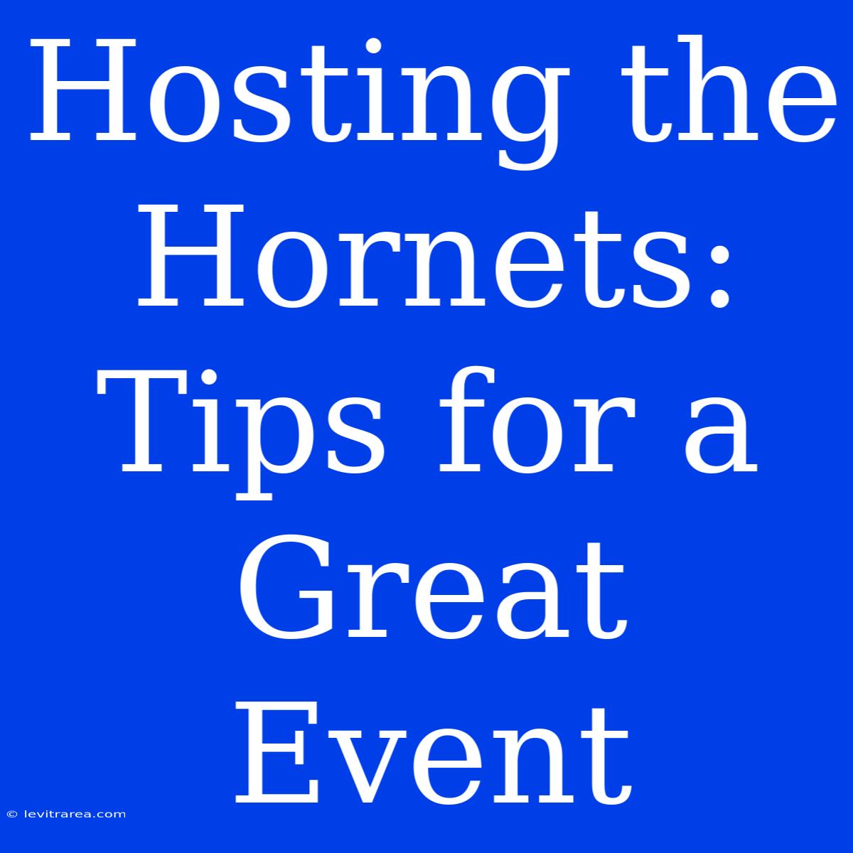 Hosting The Hornets: Tips For A Great Event