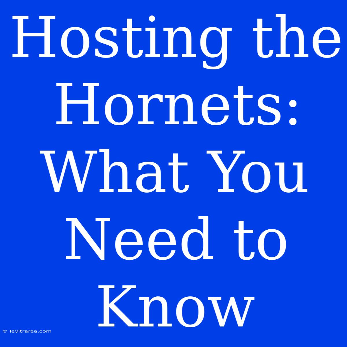 Hosting The Hornets: What You Need To Know