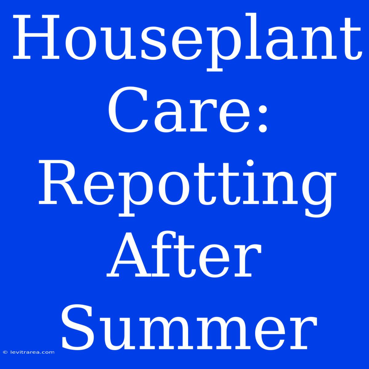 Houseplant Care: Repotting After Summer