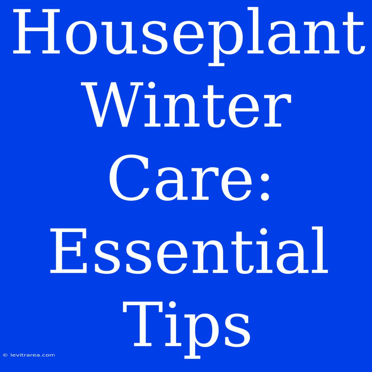 Houseplant Winter Care: Essential Tips