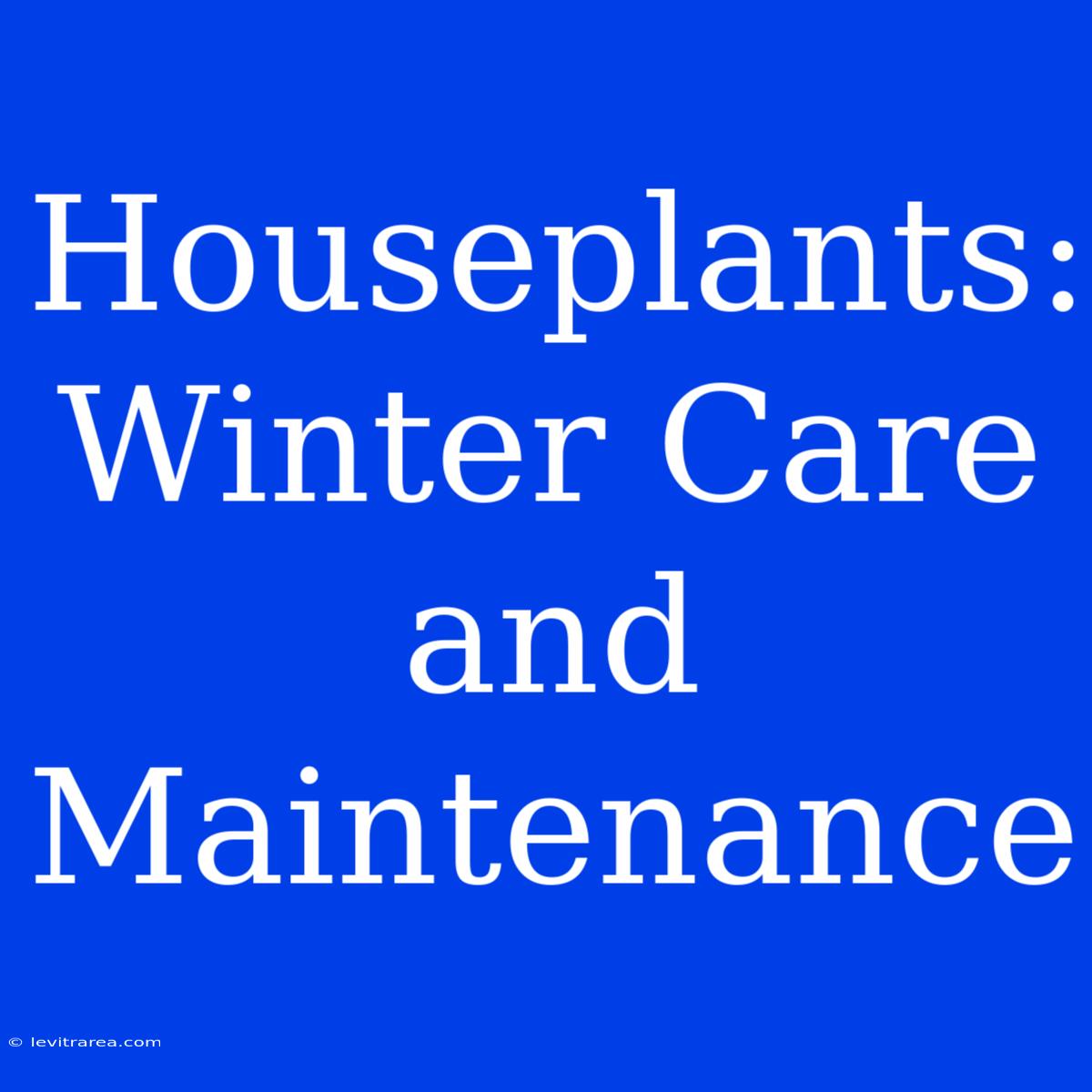 Houseplants: Winter Care And Maintenance