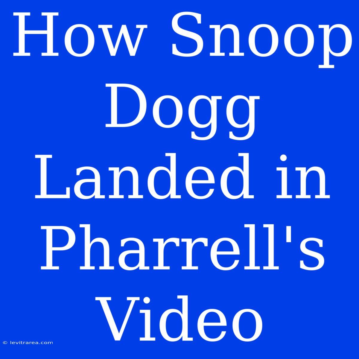 How Snoop Dogg Landed In Pharrell's Video