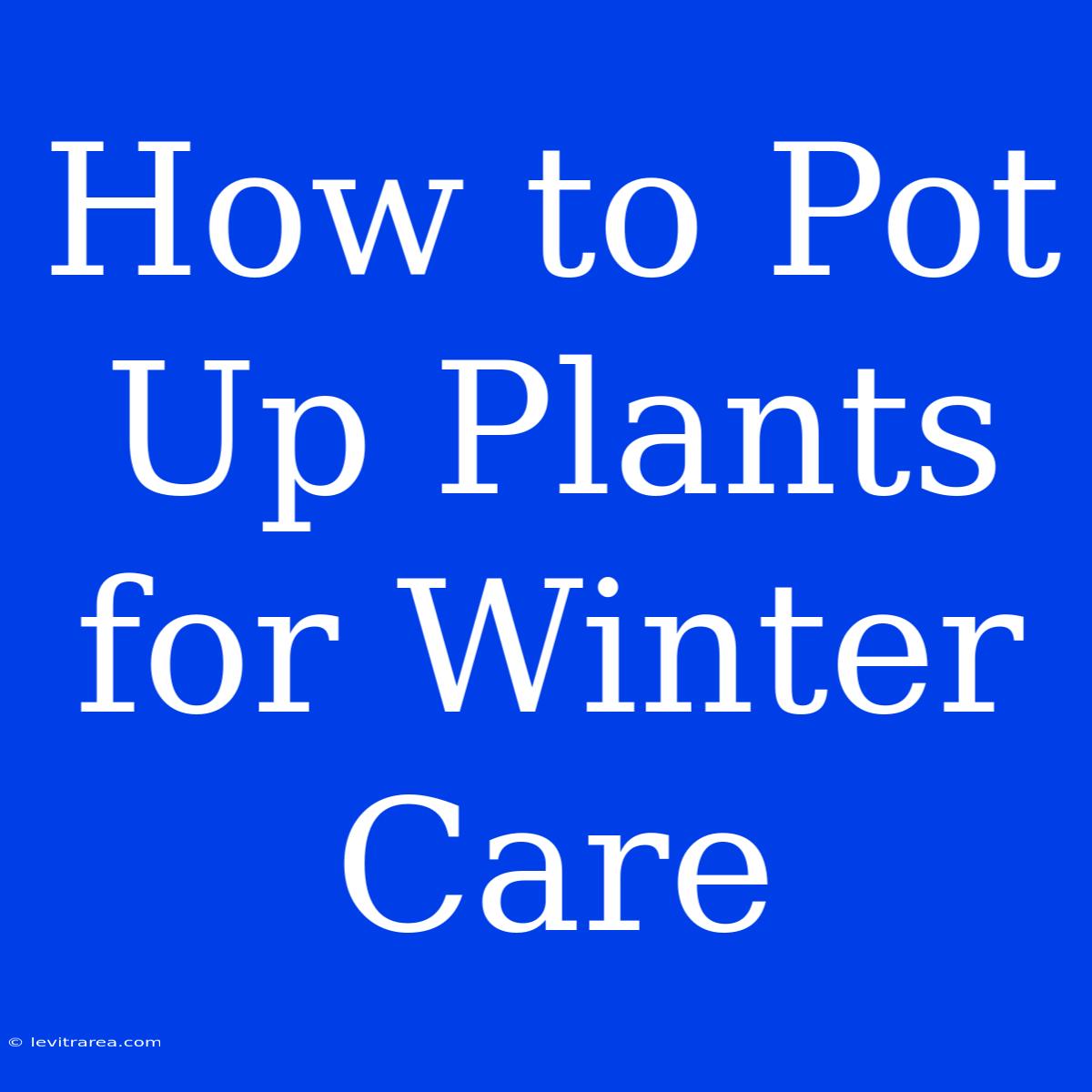 How To Pot Up Plants For Winter Care