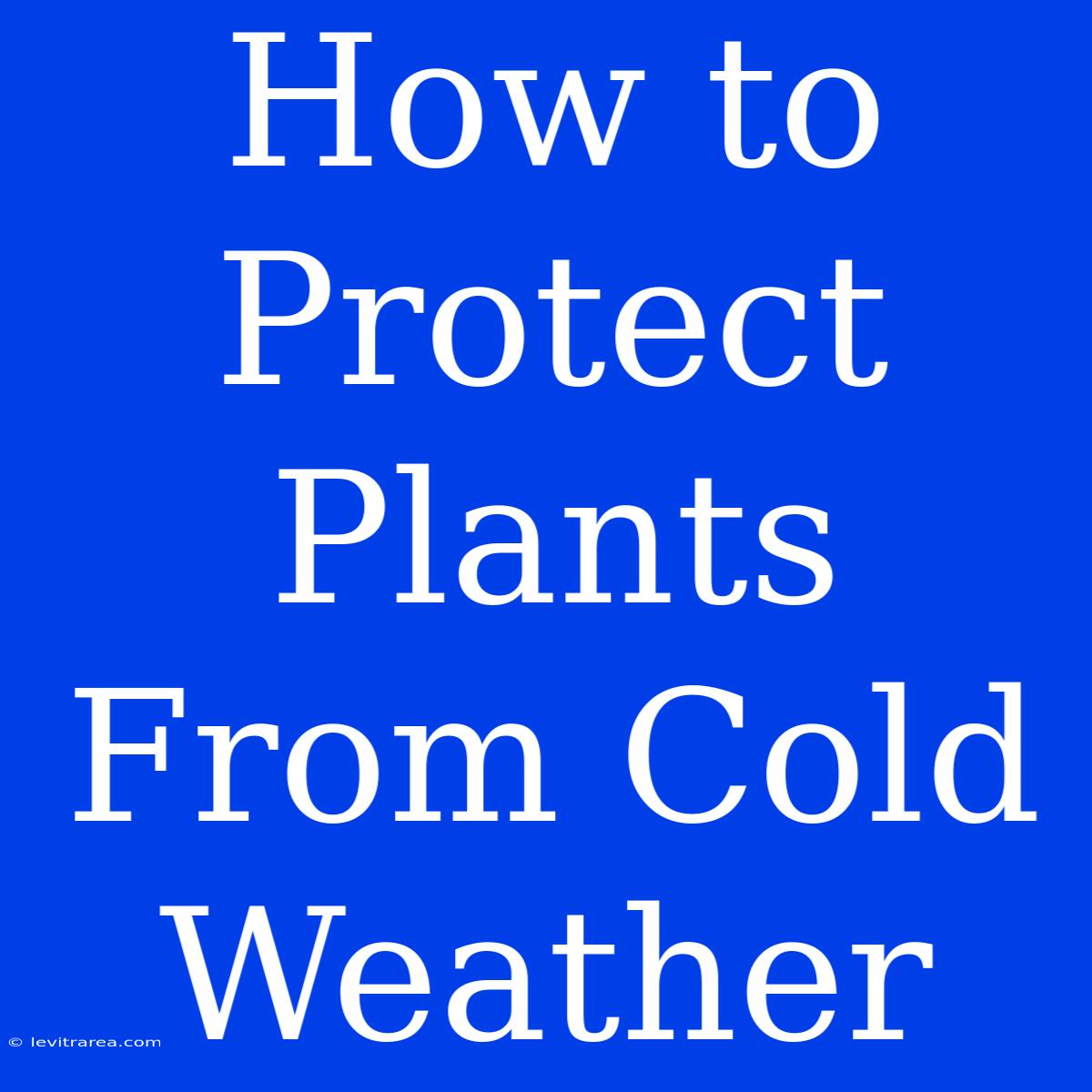 How To Protect Plants From Cold Weather