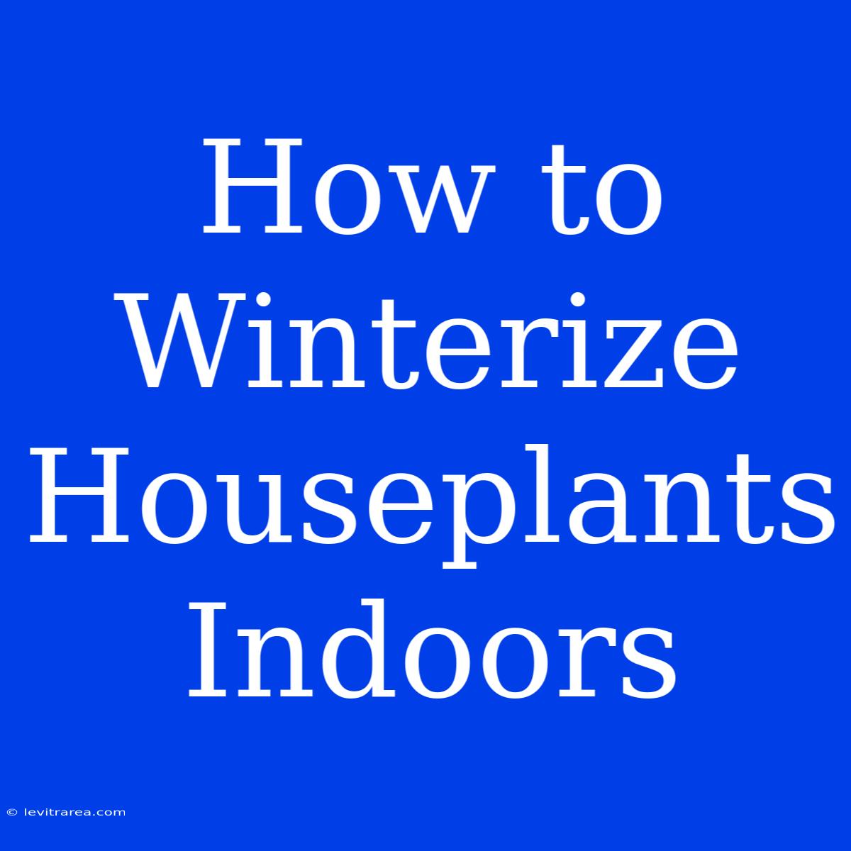 How To Winterize Houseplants Indoors