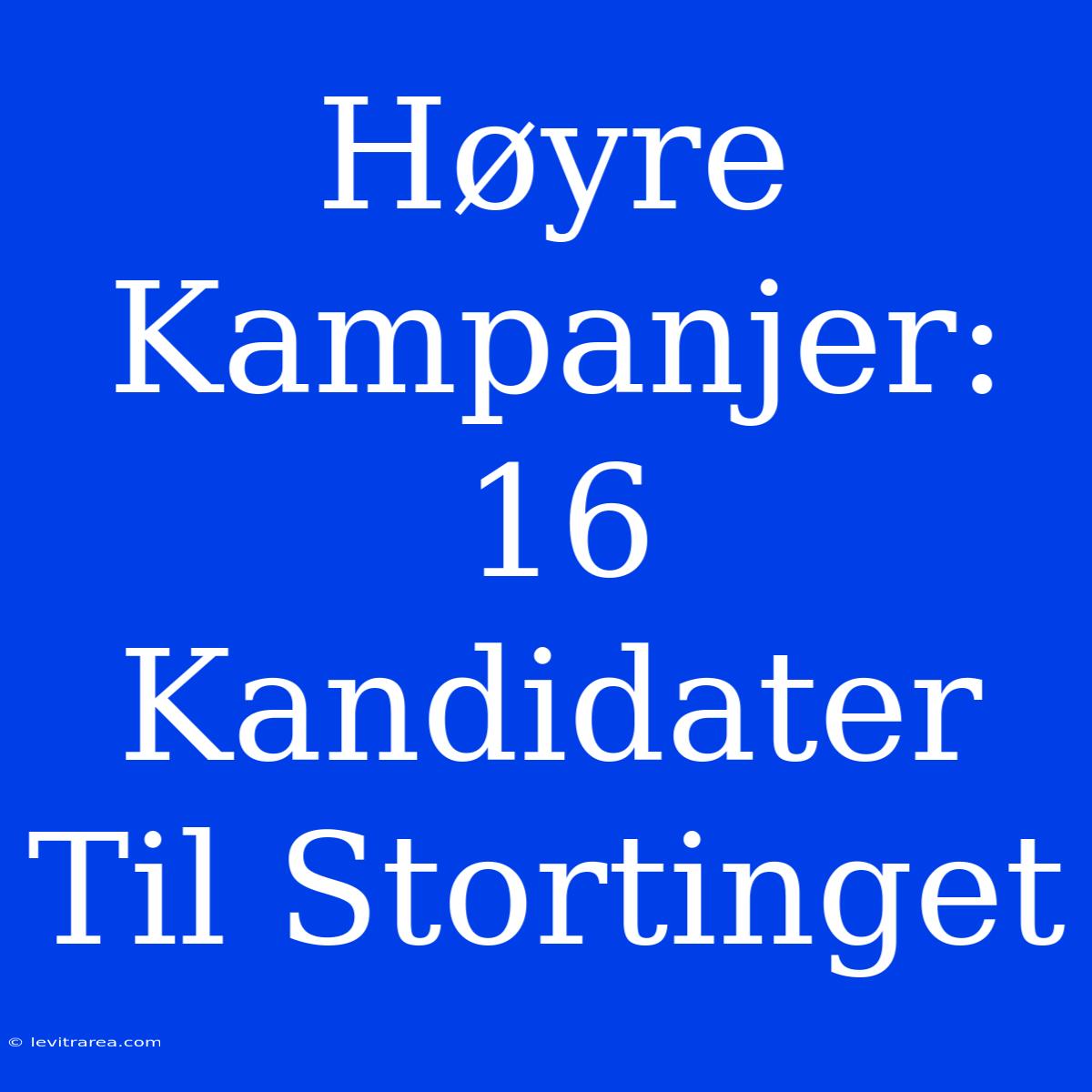 Høyre Kampanjer: 16 Kandidater Til Stortinget