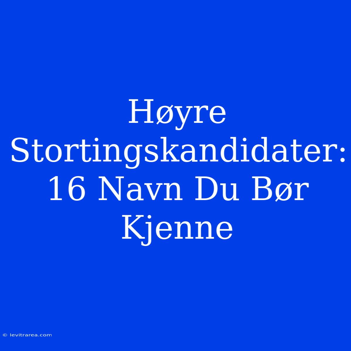 Høyre Stortingskandidater: 16 Navn Du Bør Kjenne