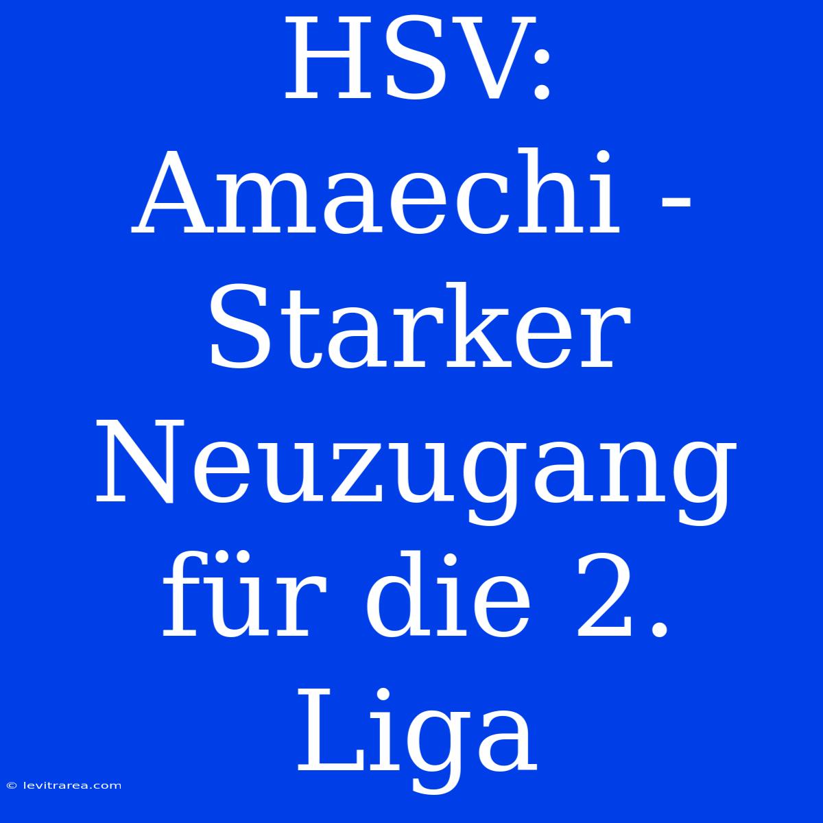 HSV: Amaechi - Starker Neuzugang Für Die 2. Liga