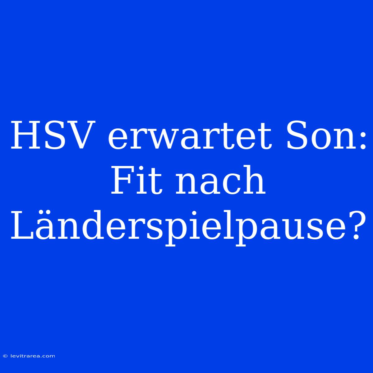 HSV Erwartet Son: Fit Nach Länderspielpause?