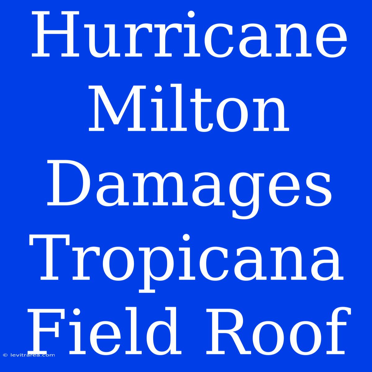 Hurricane Milton Damages Tropicana Field Roof