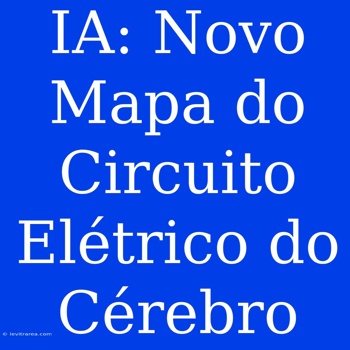 IA: Novo Mapa Do Circuito Elétrico Do Cérebro 