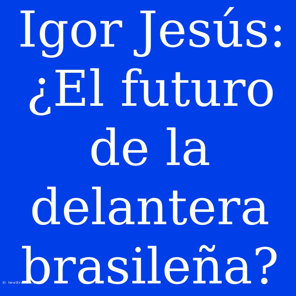 Igor Jesús: ¿El Futuro De La Delantera Brasileña?