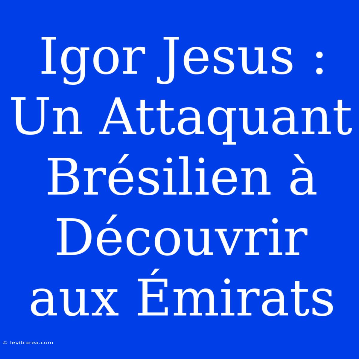 Igor Jesus : Un Attaquant Brésilien À Découvrir Aux Émirats