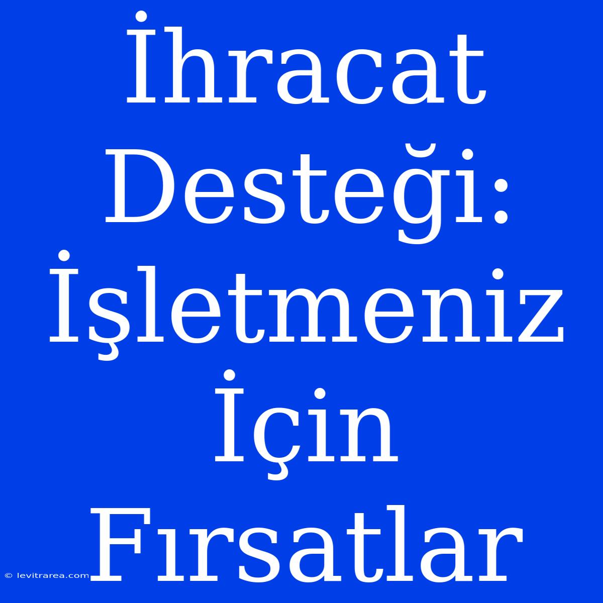 İhracat Desteği: İşletmeniz İçin Fırsatlar