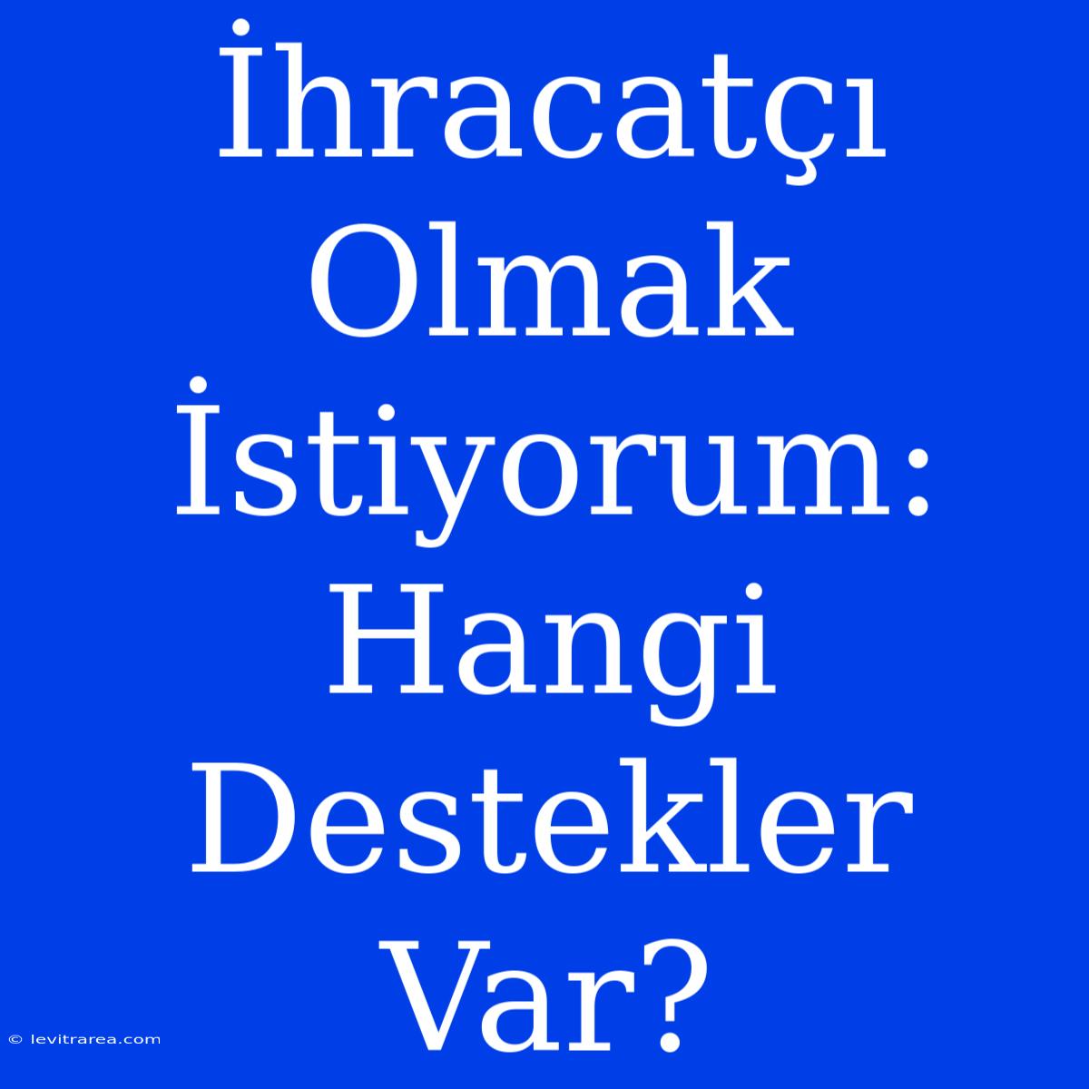 İhracatçı Olmak İstiyorum: Hangi Destekler Var?