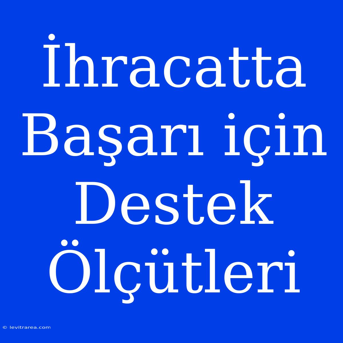 İhracatta Başarı Için Destek Ölçütleri