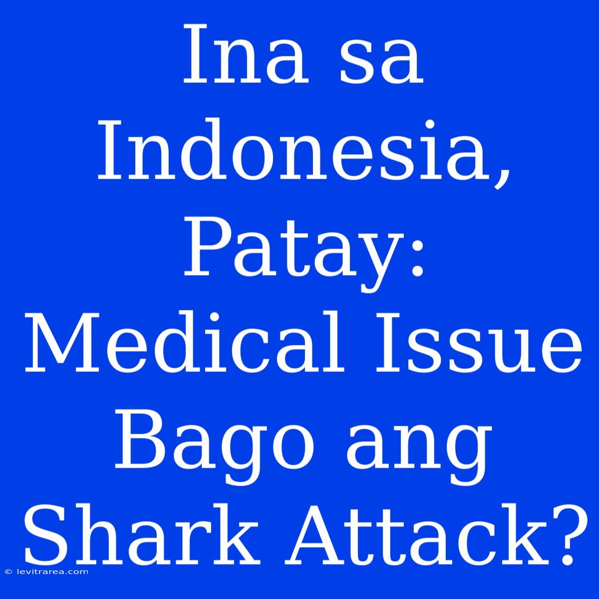 Ina Sa Indonesia, Patay: Medical Issue Bago Ang Shark Attack?