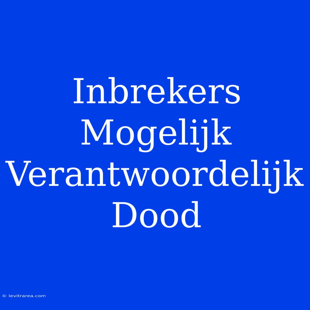 Inbrekers Mogelijk Verantwoordelijk Dood