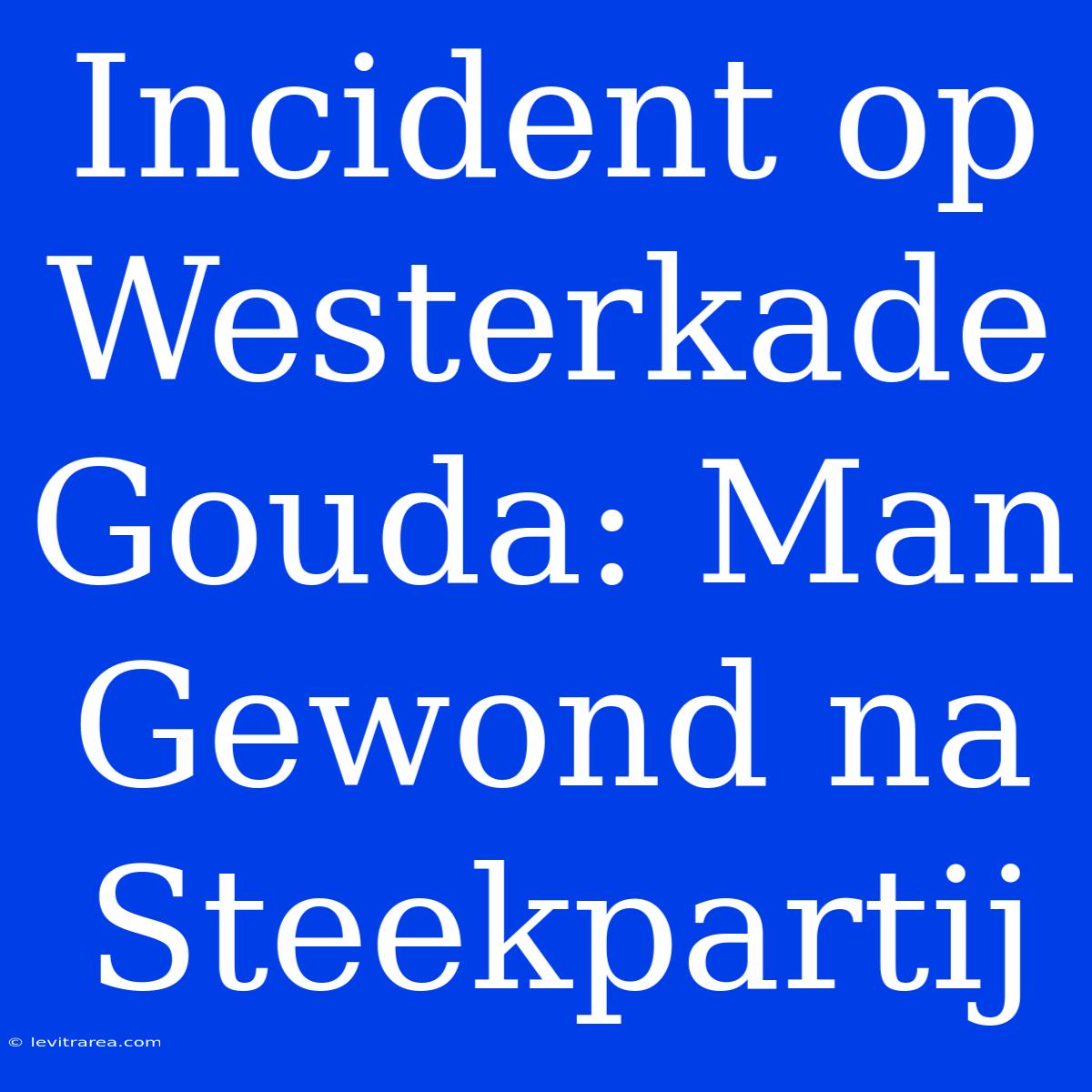 Incident Op Westerkade Gouda: Man Gewond Na Steekpartij