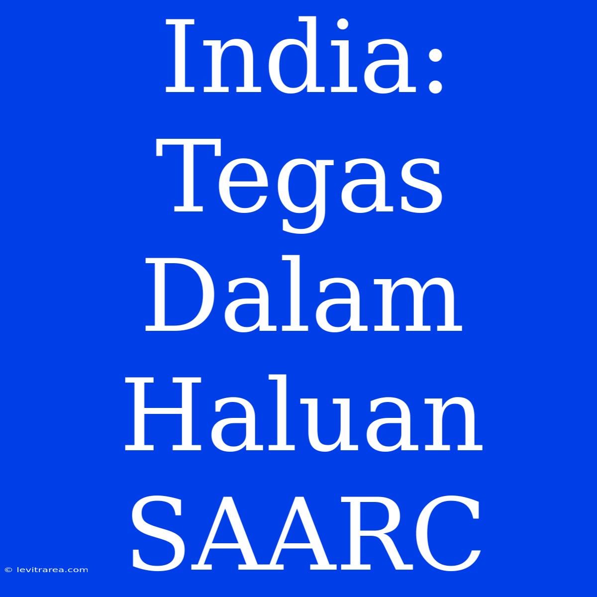 India: Tegas Dalam Haluan SAARC