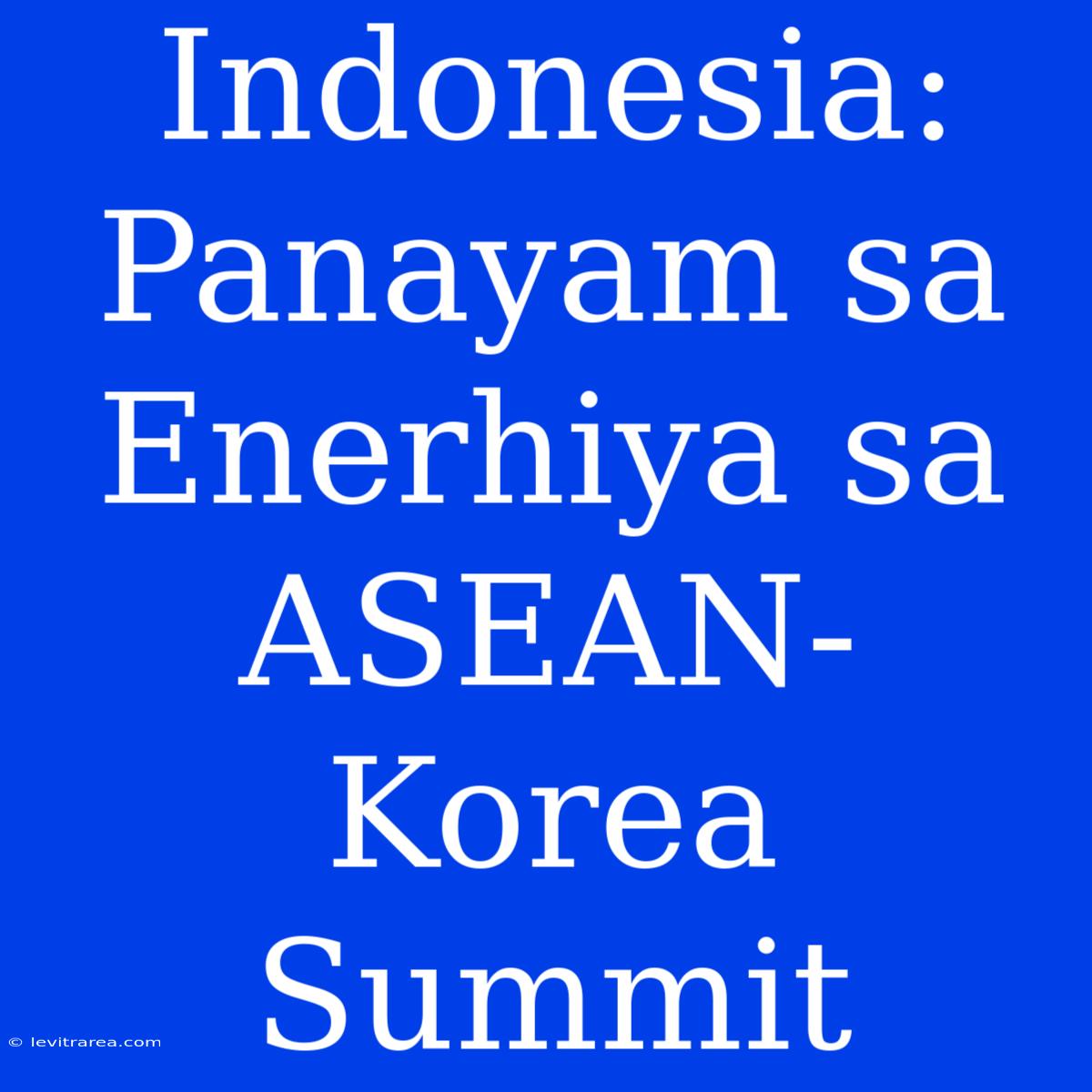 Indonesia: Panayam Sa Enerhiya Sa ASEAN-Korea Summit