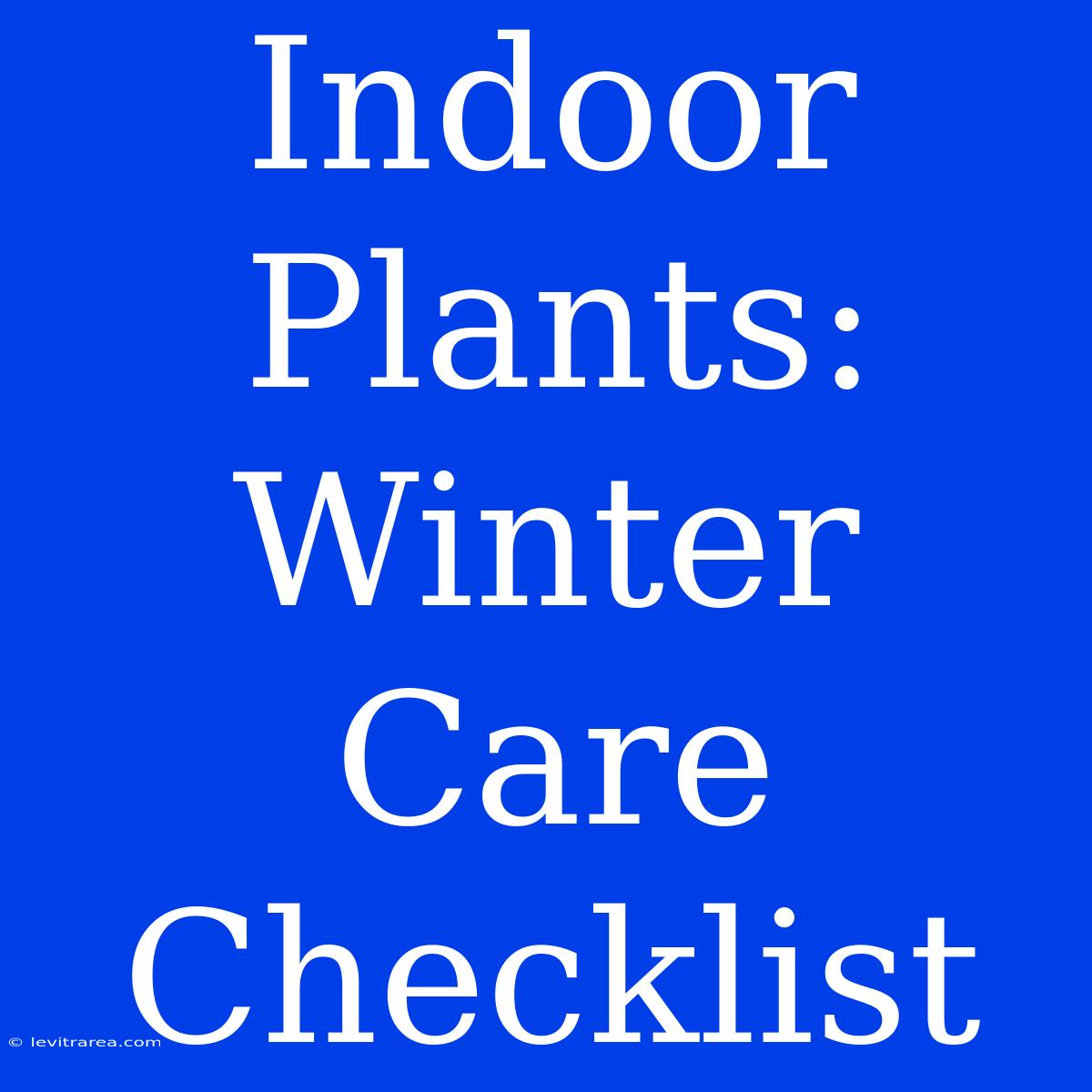 Indoor Plants: Winter Care Checklist