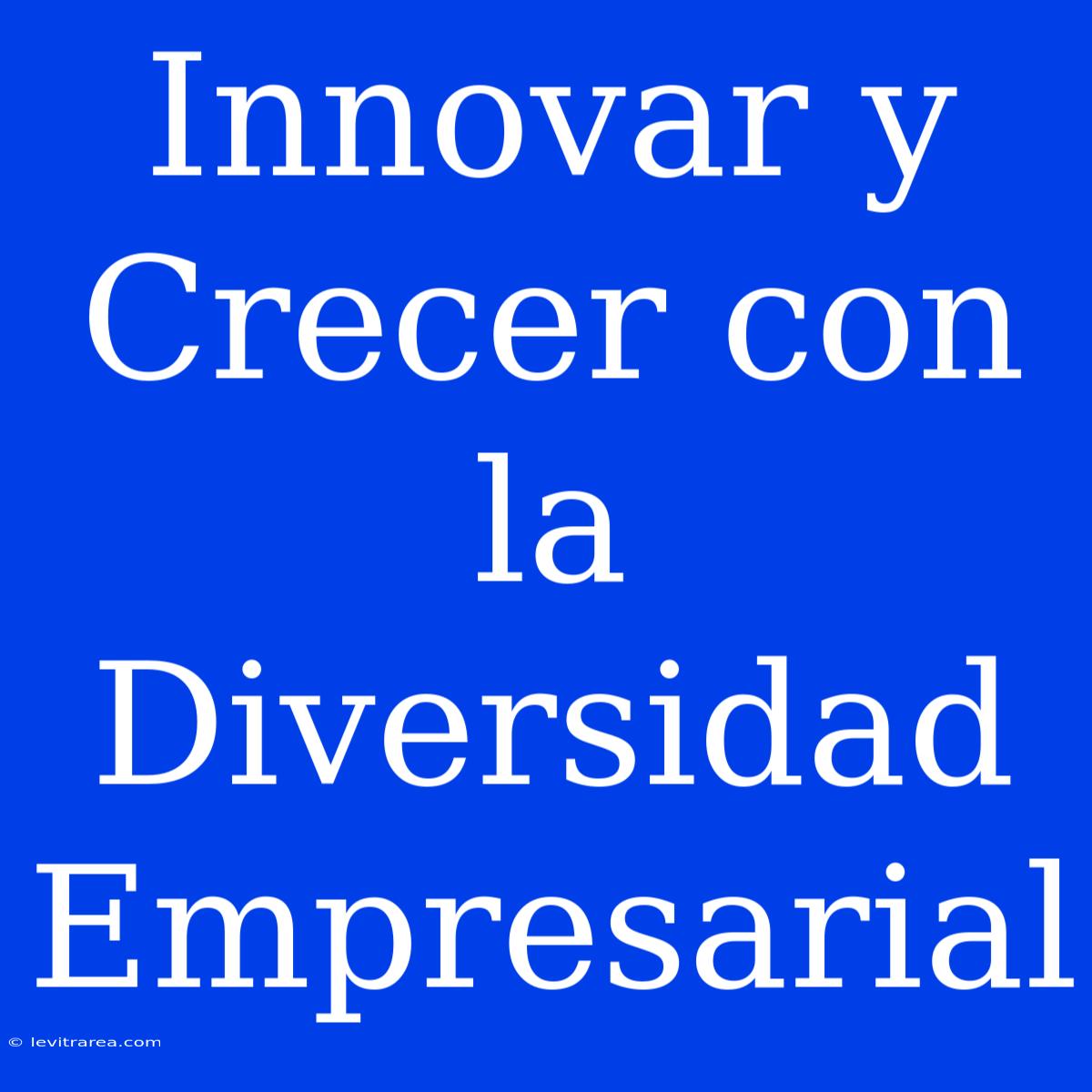 Innovar Y Crecer Con La Diversidad Empresarial 