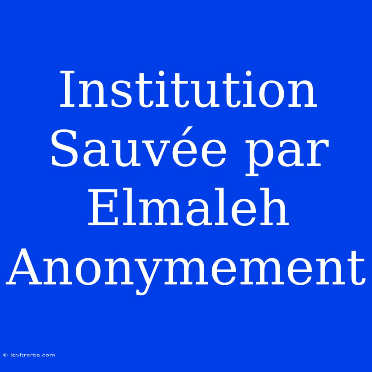 Institution Sauvée Par Elmaleh Anonymement