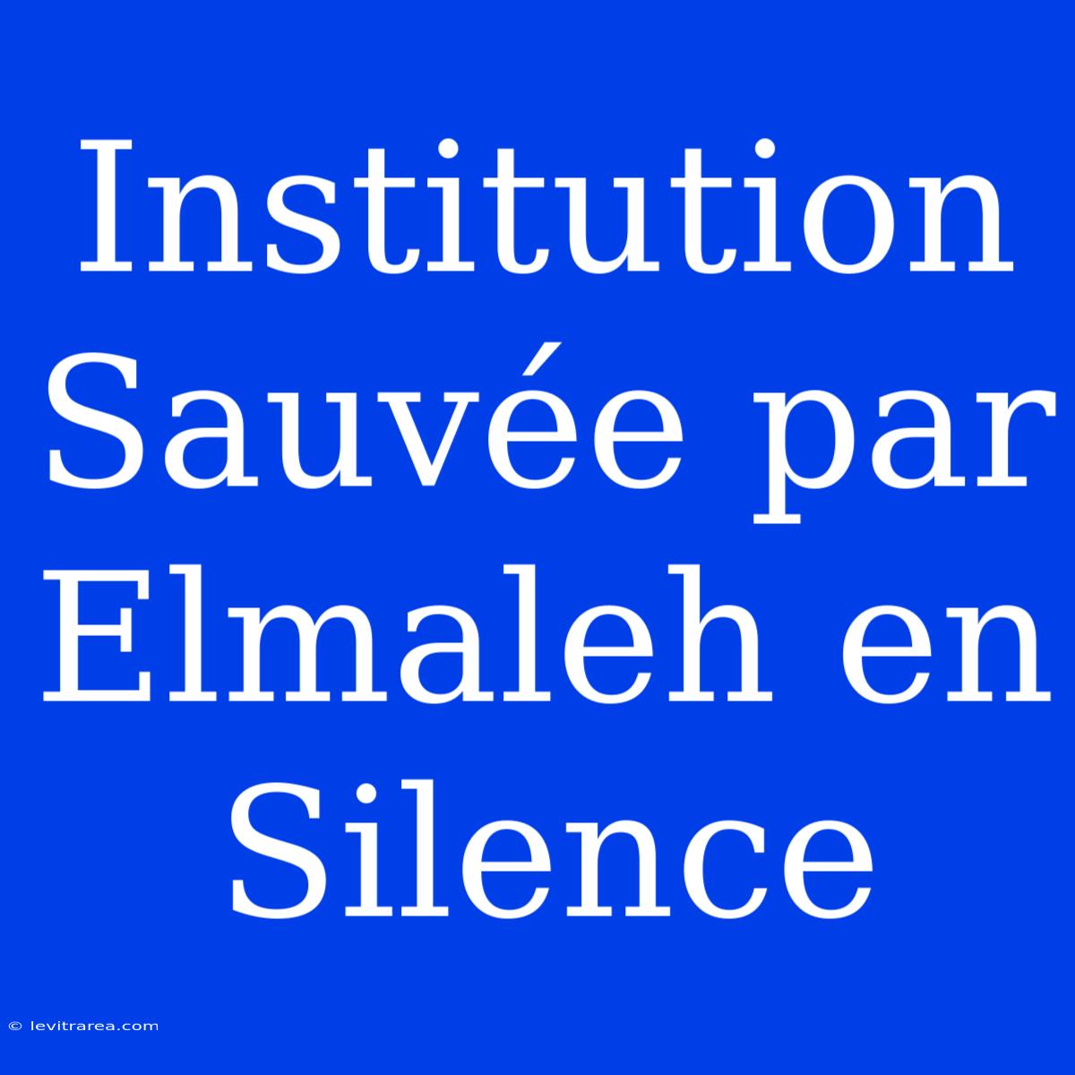 Institution Sauvée Par Elmaleh En Silence 