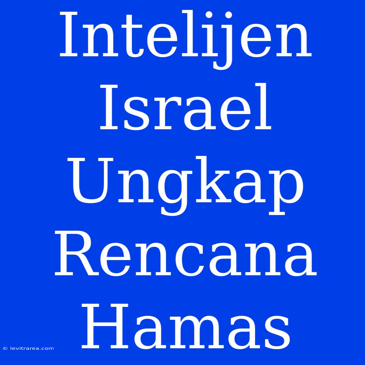 Intelijen Israel Ungkap Rencana Hamas