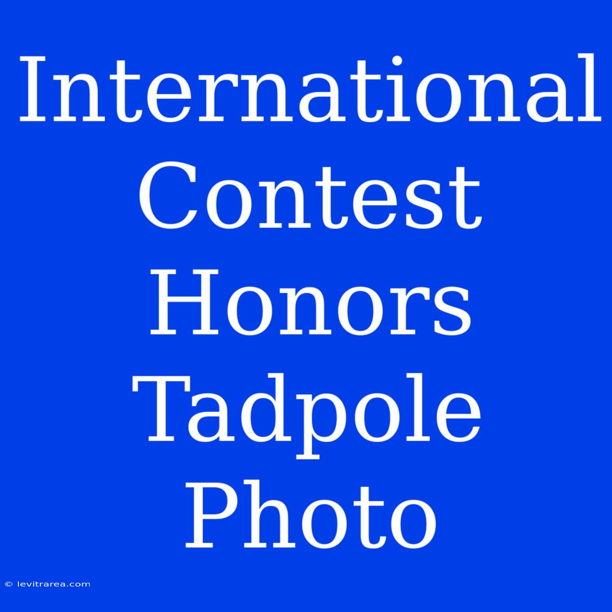 International Contest Honors Tadpole Photo