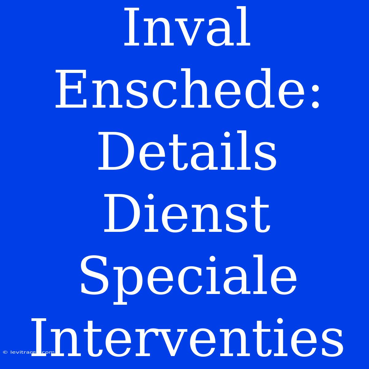 Inval Enschede: Details Dienst Speciale Interventies