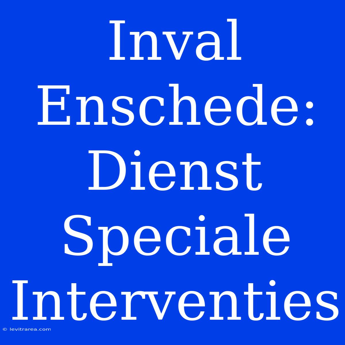 Inval Enschede: Dienst Speciale Interventies