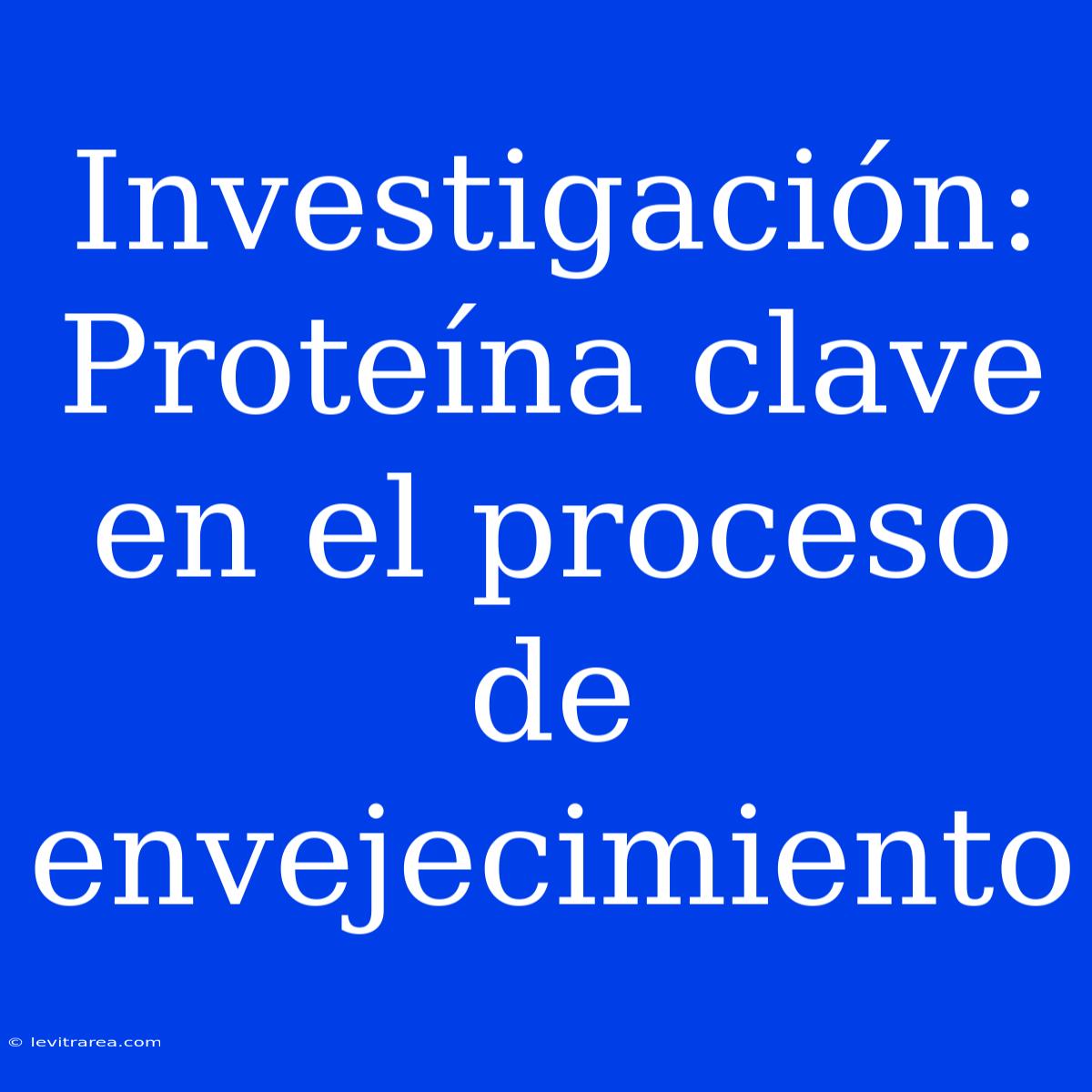 Investigación: Proteína Clave En El Proceso De Envejecimiento