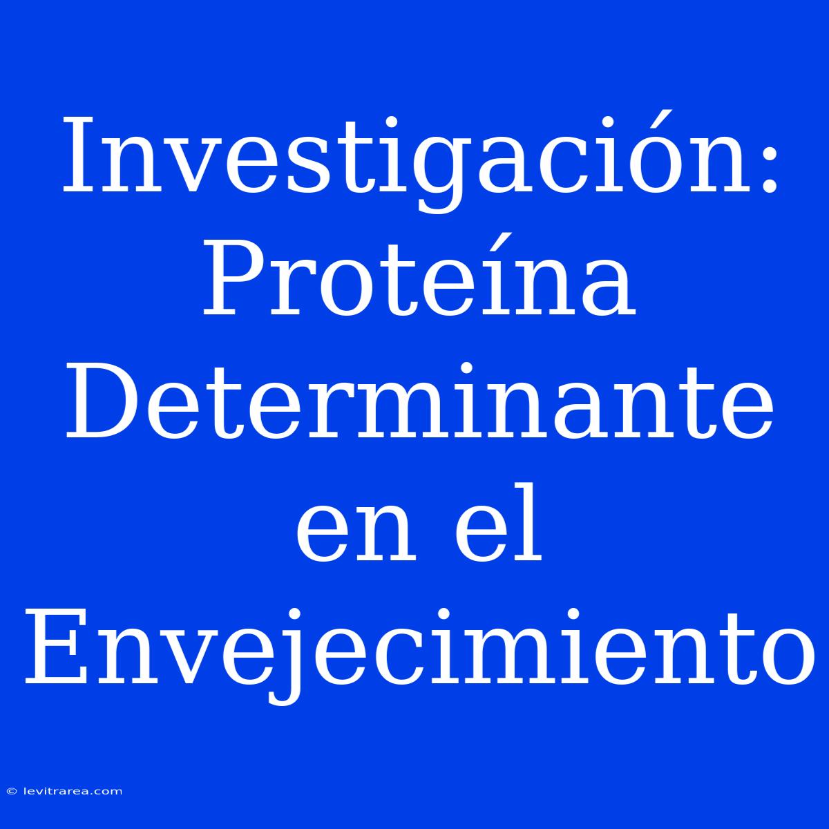 Investigación: Proteína Determinante En El Envejecimiento