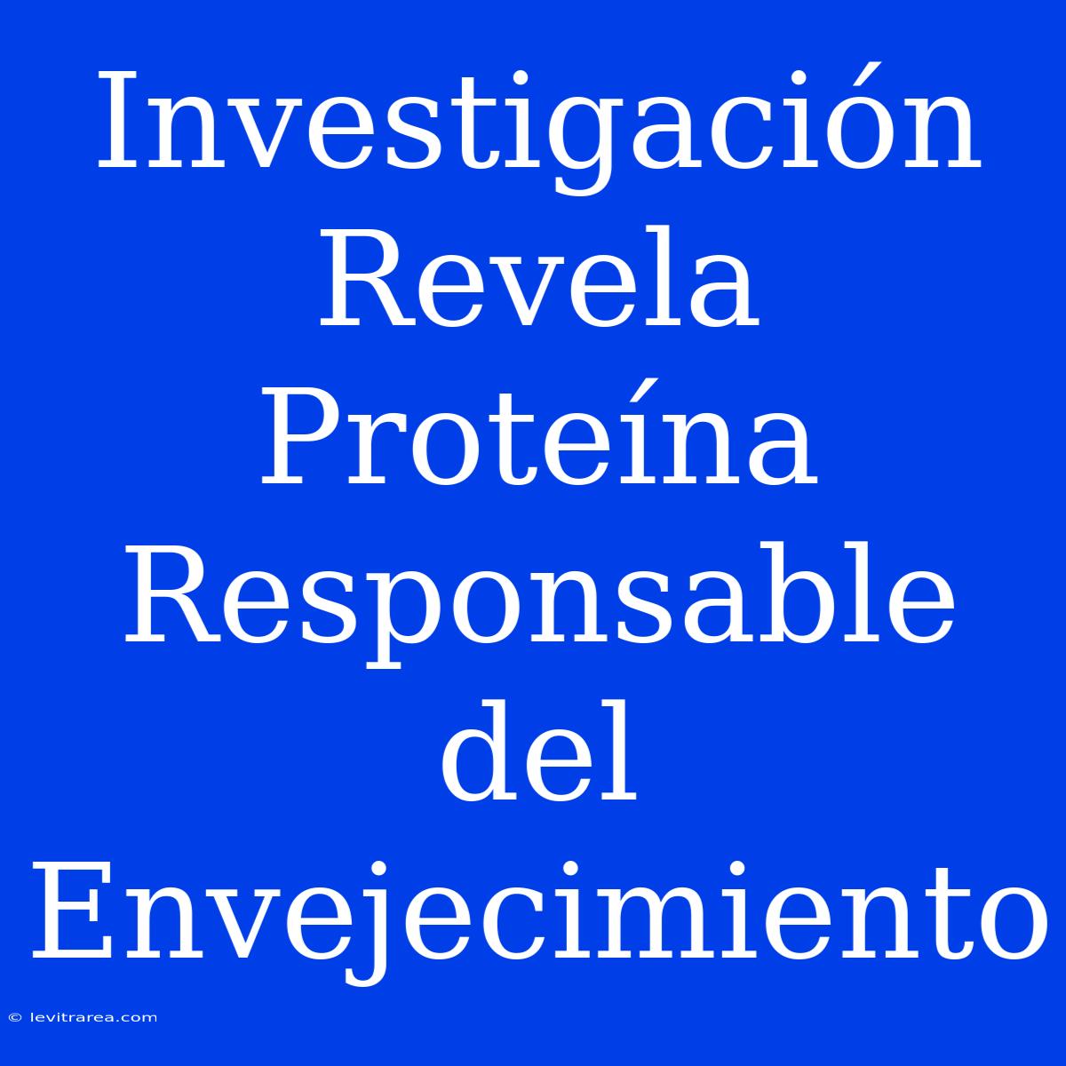 Investigación Revela Proteína Responsable Del Envejecimiento