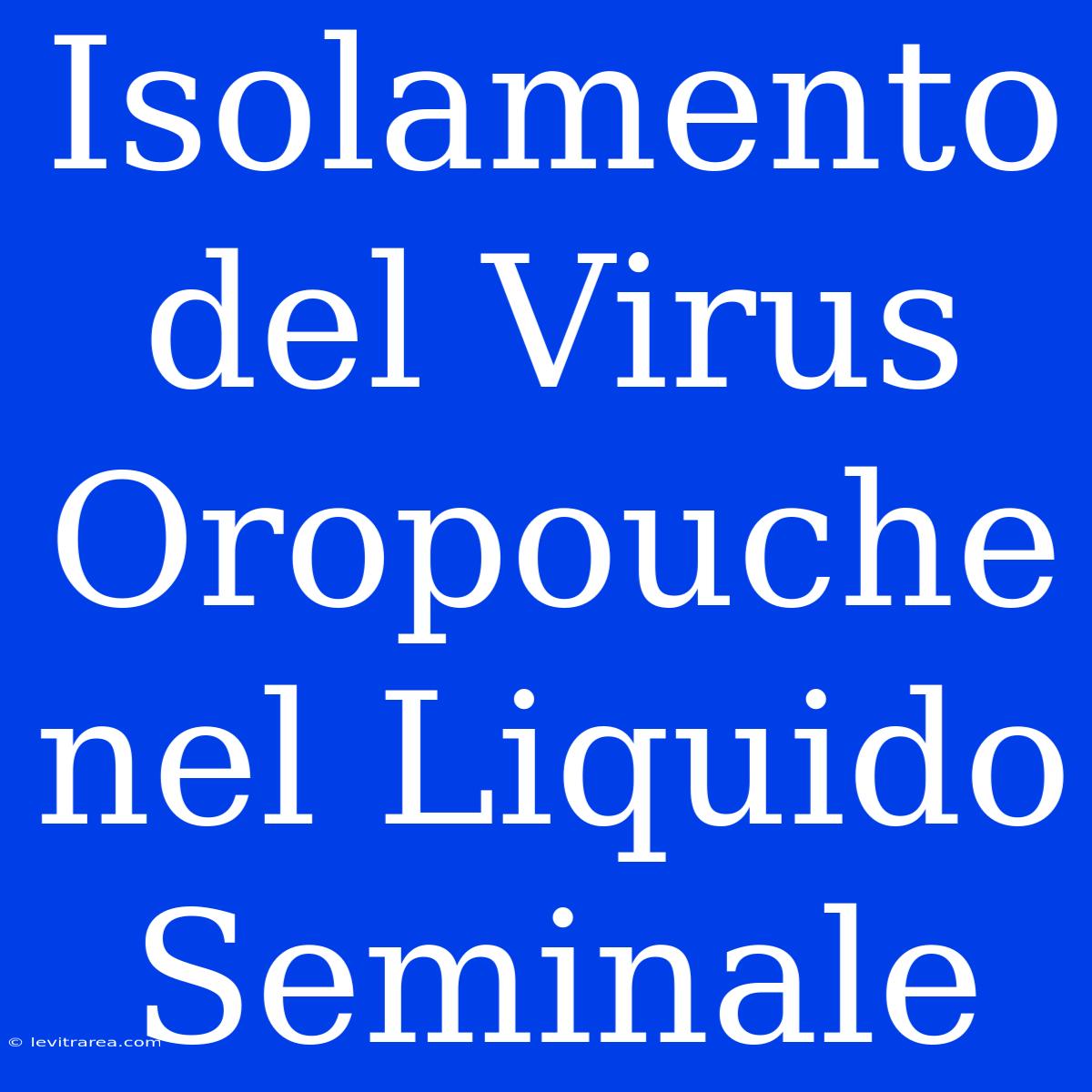 Isolamento Del Virus Oropouche Nel Liquido Seminale