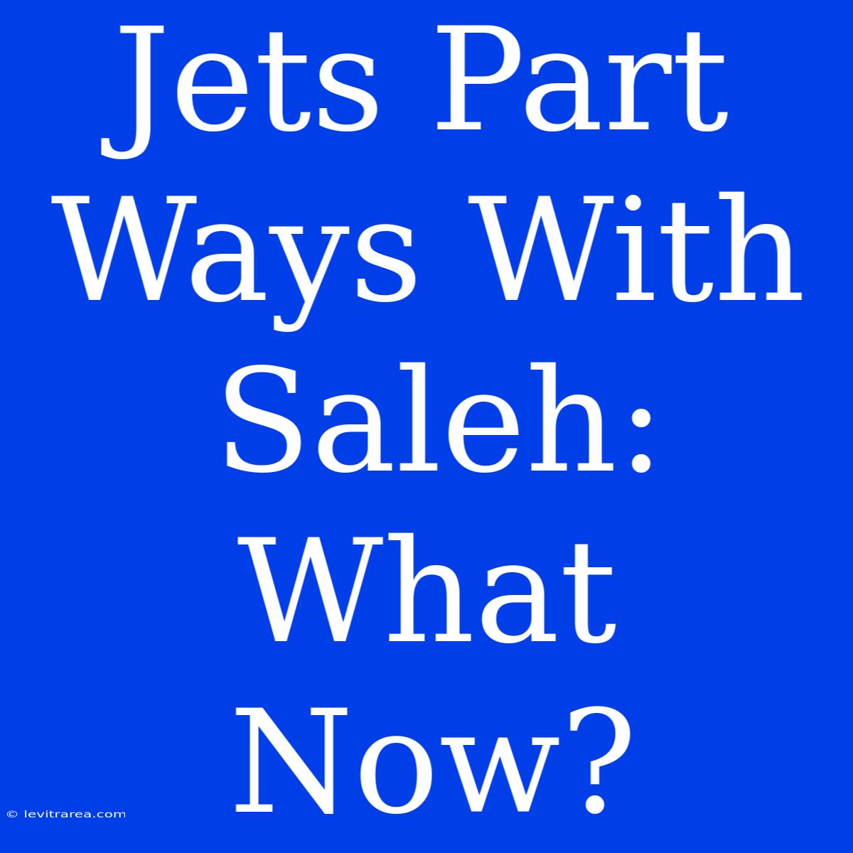 Jets Part Ways With Saleh: What Now?