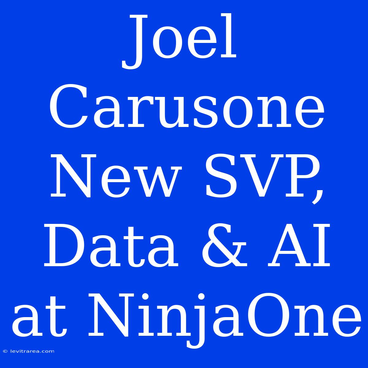 Joel Carusone New SVP, Data & AI At NinjaOne