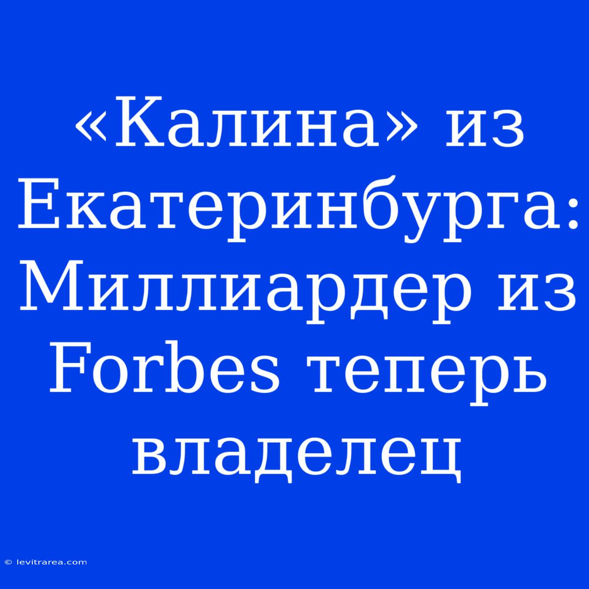 «Калина» Из Екатеринбурга: Миллиардер Из Forbes Теперь Владелец 