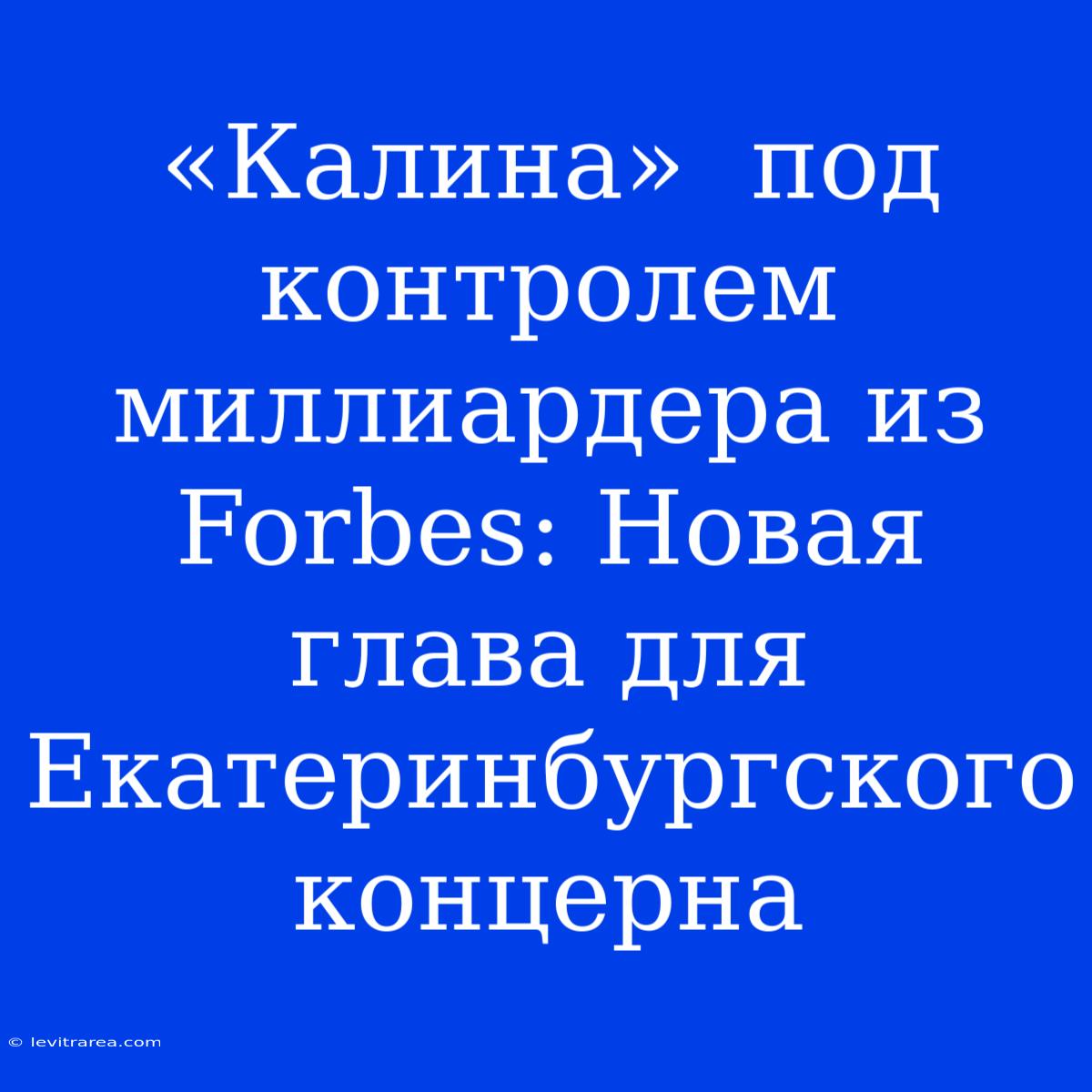 «Калина»  Под Контролем Миллиардера Из Forbes: Новая Глава Для Екатеринбургского Концерна