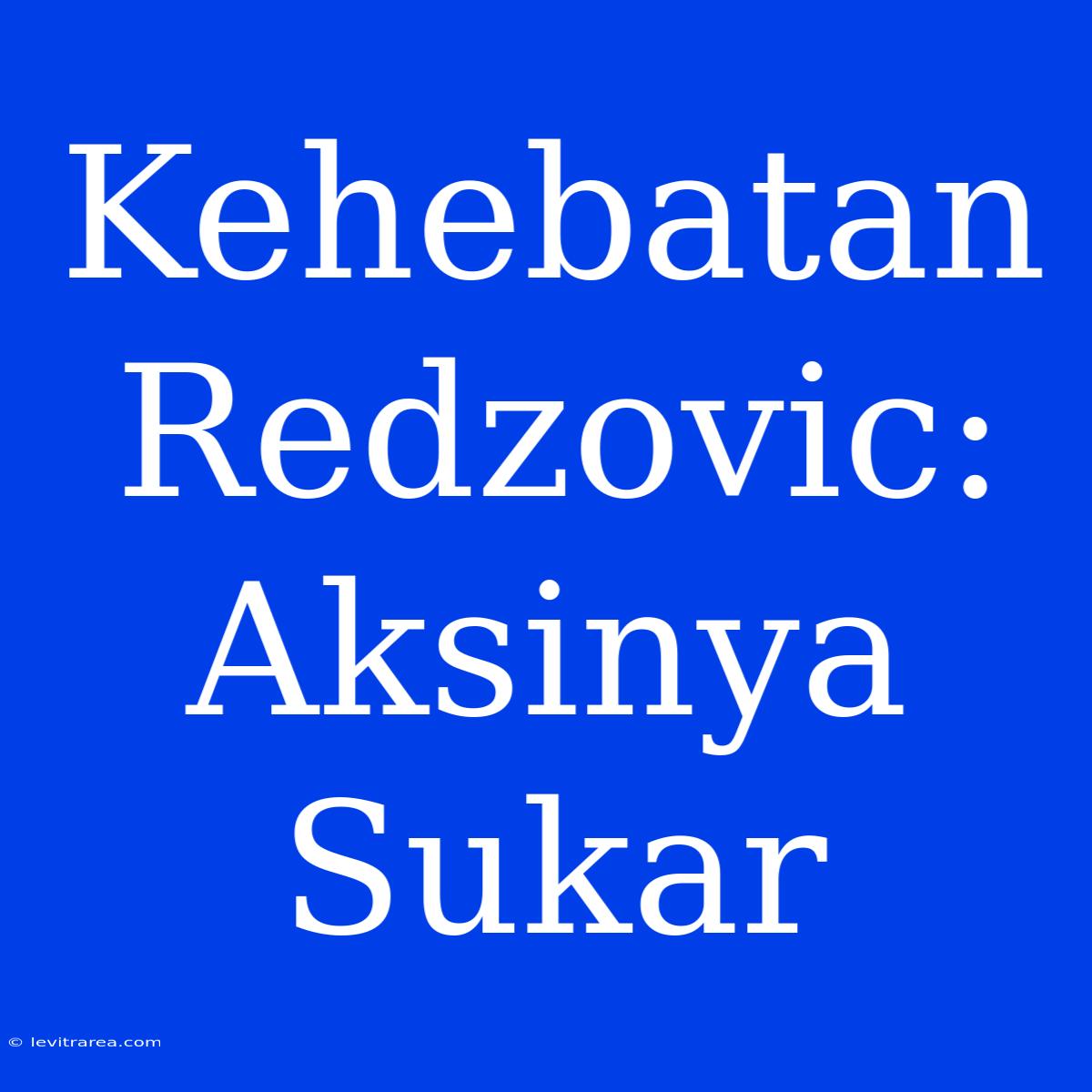 Kehebatan Redzovic: Aksinya Sukar