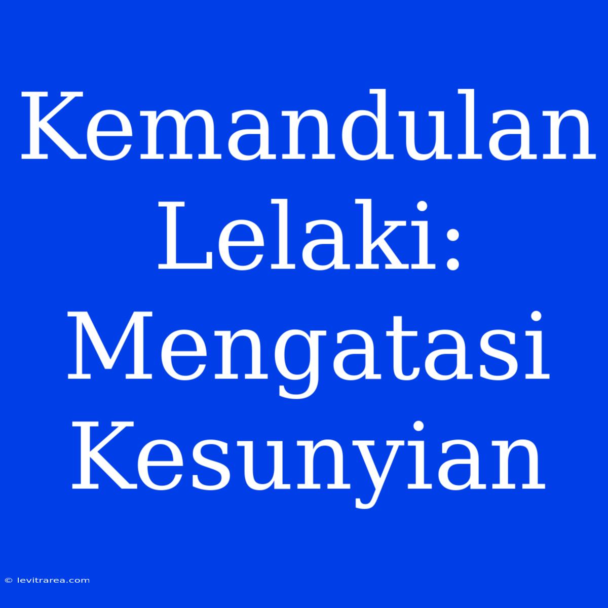 Kemandulan Lelaki: Mengatasi Kesunyian