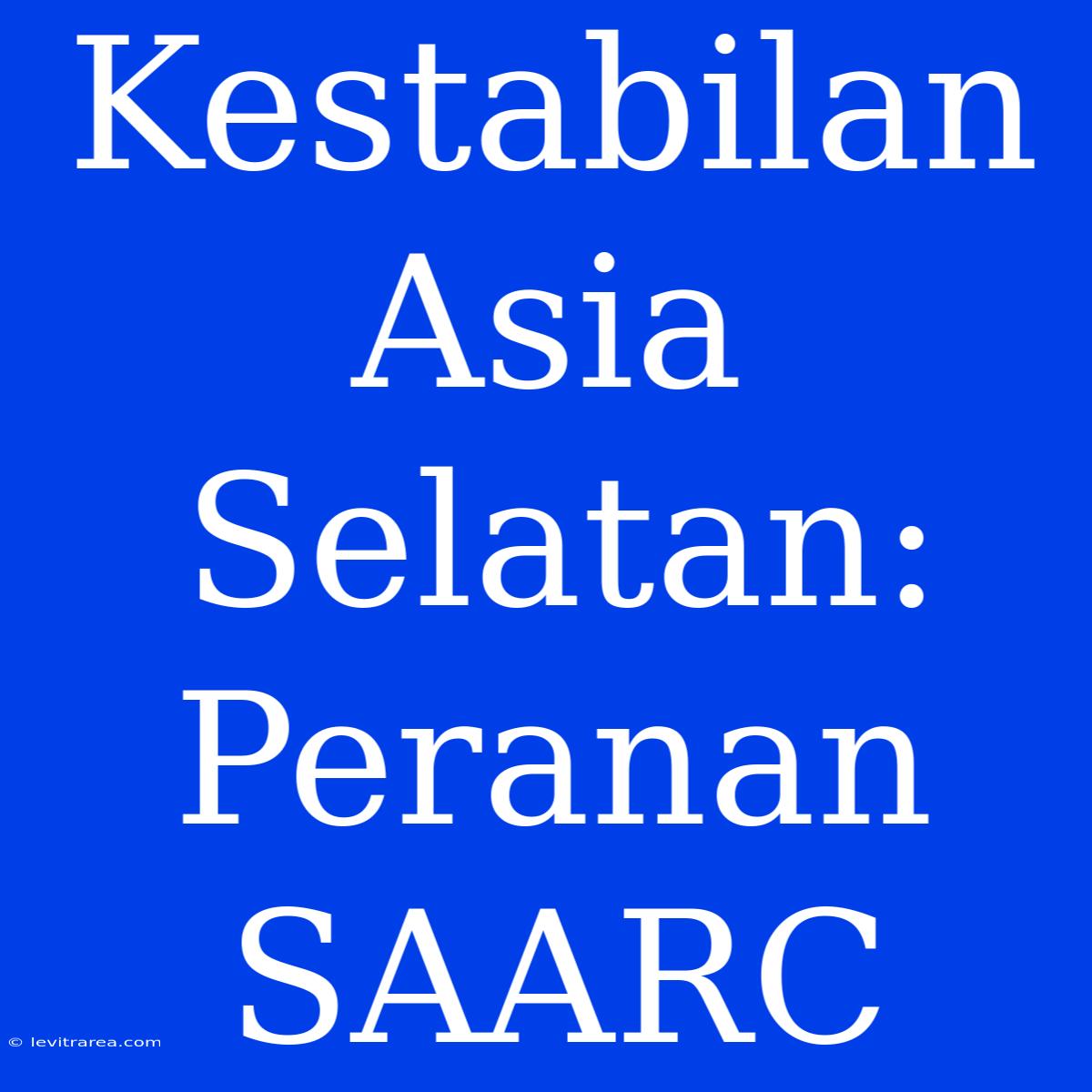 Kestabilan Asia Selatan: Peranan SAARC