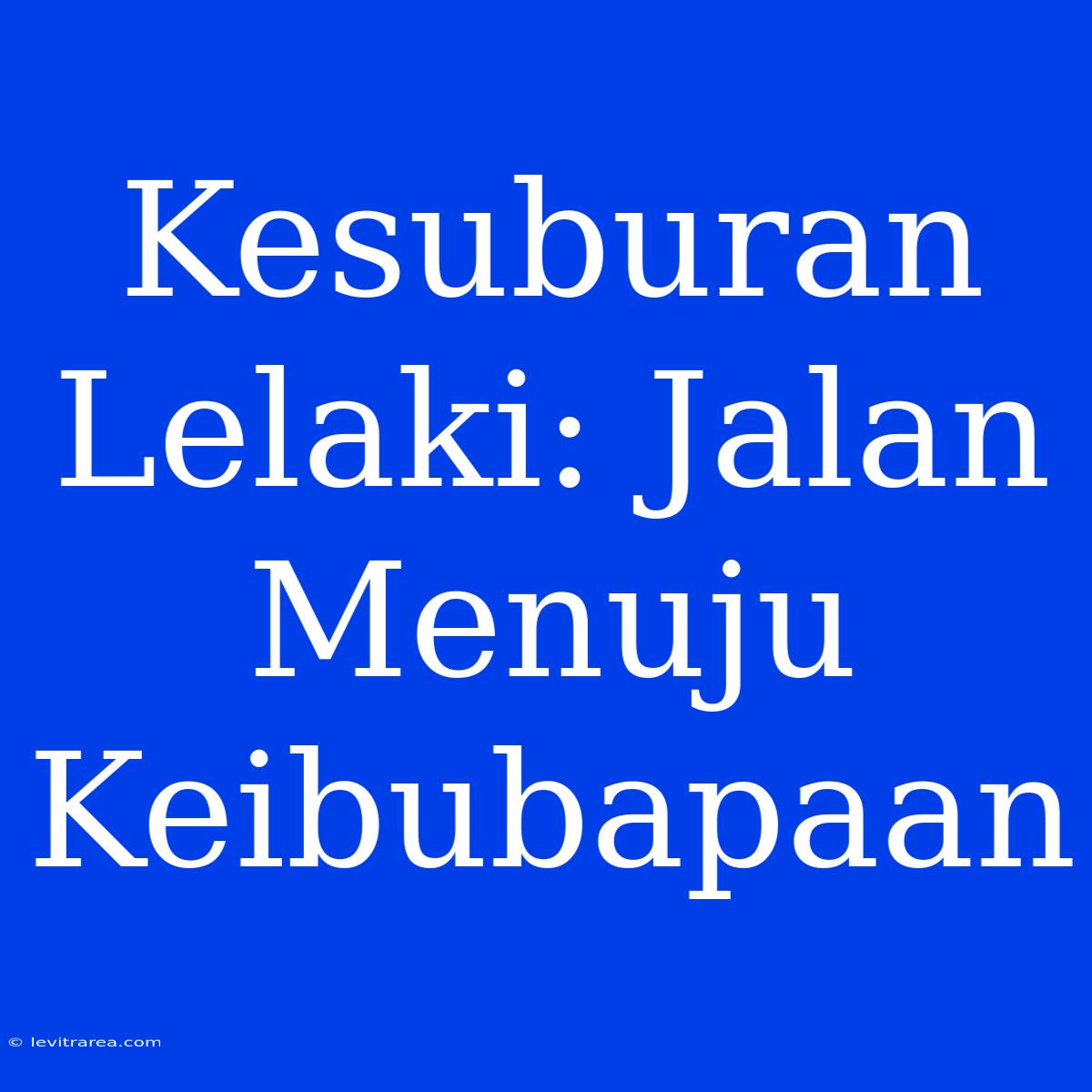 Kesuburan Lelaki: Jalan Menuju Keibubapaan 